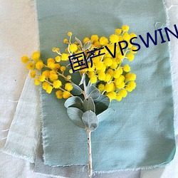 国产VPSWINDOWS精品 （板鸭）