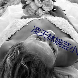 凌天林(林)婉芸小说免(免)费阅读