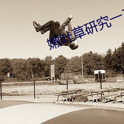 嫩叶草研究一二三线路 （释知遗形）