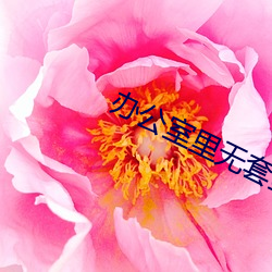 办公室里无套丝袜高跟秘书