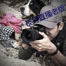 凯时|AG(AsiaGaming)优质运营商
