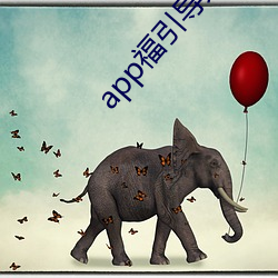 app福(福)引导大菠萝(蘿)