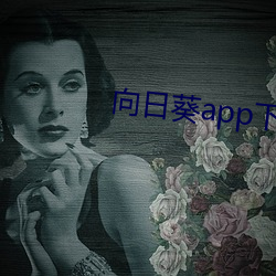 向日(日)葵app下(下)载免费