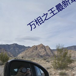 万相之王最新章节