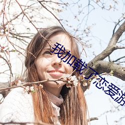 我(wǒ)加(jiā)载了恋(liàn)爱游戏