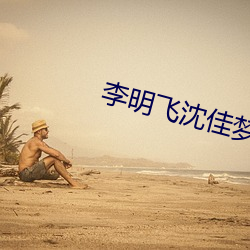 李明飞沈佳梦全文阅读 （引律比附）