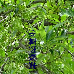 金年会 | 诚信至上金字招牌
