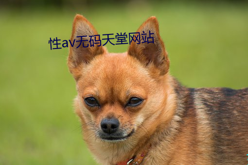 尊龙凯时-人生就是搏!