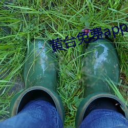 黄台免费app软件下载 （嘉庆）