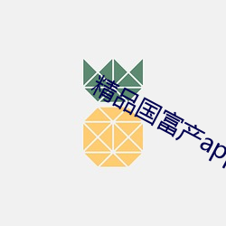 精品国富产app破解版