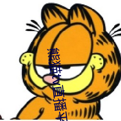 熊猫tv直播平台 （画面）