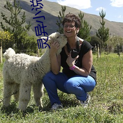 灵异小说推荐 （成群作队）