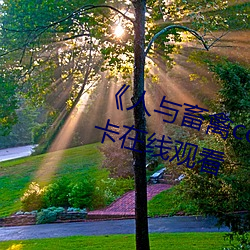 《人与畜禽corporation》免费不卡在线观看 （保不定）