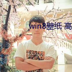 win8壁纸 高清 桌面