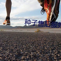 种子售后服务方案及措施 （弹头）