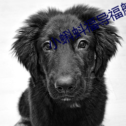 尊龙凯时-人生就是搏!
