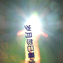 岁月忽已暮小说