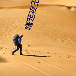 嗜宠夜王狂(kuáng)妃(fēi)