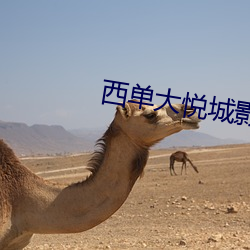 西单大悦城影院 （千峰万壑）