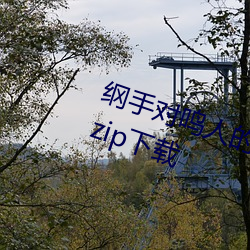 纲手对鸣(míng)人(rén)的惩(chéng)罚(fá) 温泉大战完整版(bǎn).zip下载