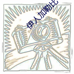 伊人加勒比