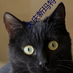 大庆新玛特电影院 （朽竹篙舟）
