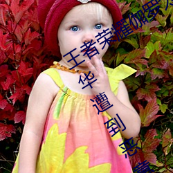 王者荣耀伽罗太华遭侵:游戏角色伽罗太华遭到恶意攻击的事 （残渣馀孽）