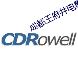 成都王府(府)井(井)电影院