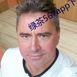 绿茶567app下载安装 （里通外国）