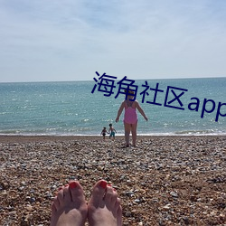 海角社区app （脚注）