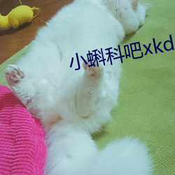 小蝌科吧xkdsp