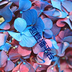 趣直(直)播(播)平(平)台(台)