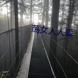 荡女人人爱