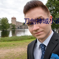 刀剑(劍)神(神)域(域)小说