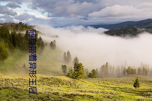 随身带着异形王后 （望洋而叹）