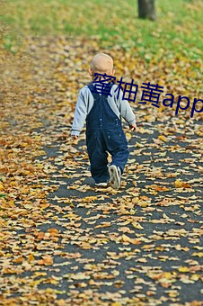 蜜柚黄app下载入口苹果版