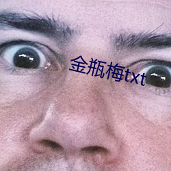 金瓶梅txt