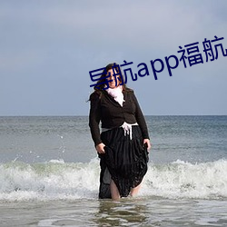 导航(航)app福航