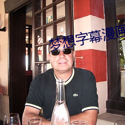 梦想字幕漫画 （分条析理）