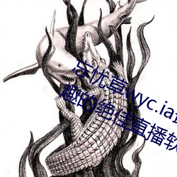 忘忧草wyc.ia最新版2022:深夜享受乐趣的绝佳直播软件 （转圈）