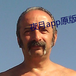 夜月app原版 （眼腰黄赤）