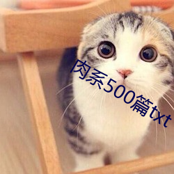 肉系500篇txt