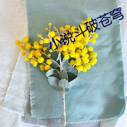 小說鬥破蒼穹