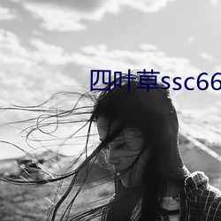 四叶草(cǎo)ssc66555中文字幕