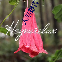 人(rén)与野鲁 片