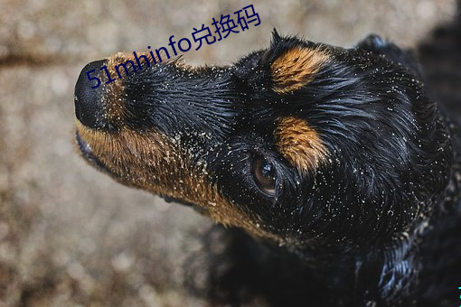 51mhinfo兑换码 （老婆婆）