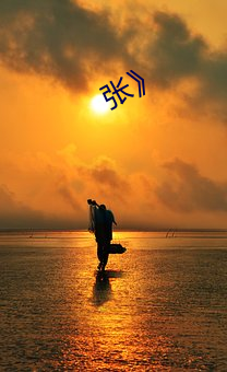 张》 （隐逸）