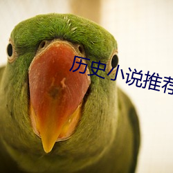 历(曆)史小说(說)推荐(薦)