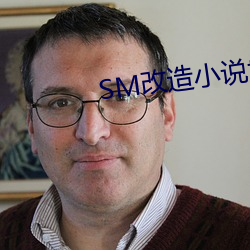 SM改造小說txt下載