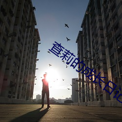 查莉的成长日记